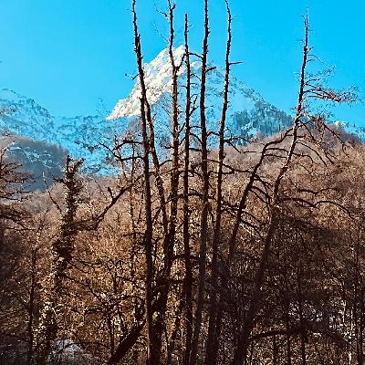 Secret Garden / Ambient Compilation