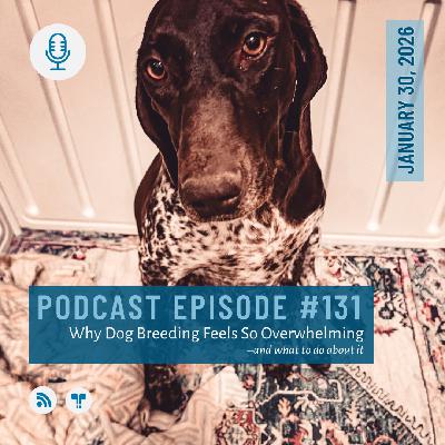 #131 - Why Dog Breeding Feels So Overwhelming - and what to do about it