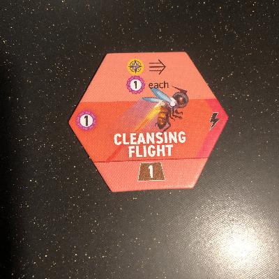 #39 - Connie Vogelmann—Bee, Beeing, Beeen: A Cleansing Space Flight