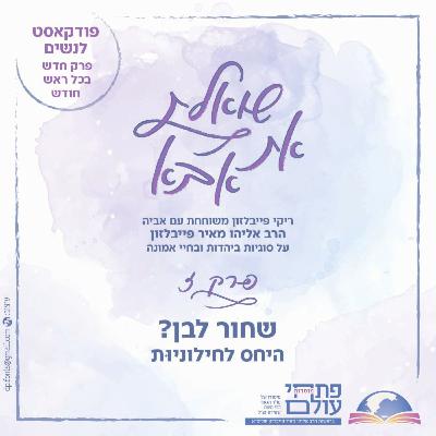 פרק שביעי | שחור לבן? | היחס לחילונִיוּת