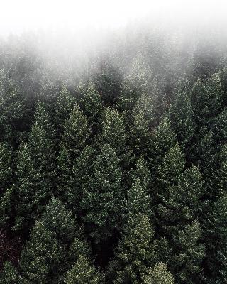 Episode 1. Foreword.