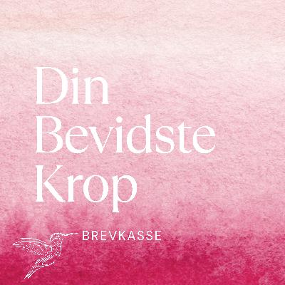 Episode 17: Brevkasse