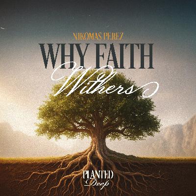 Why Faith Withers | Nikomas Perez Why Faith Withers | Nikomas Perez