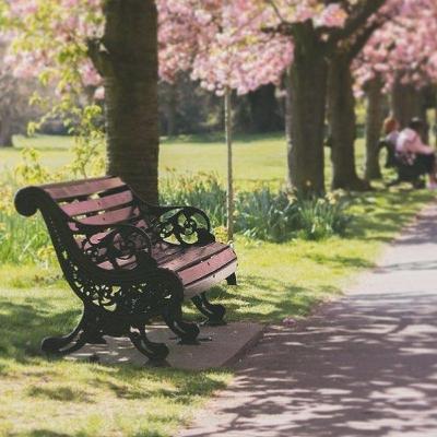 Park Bench ~ Try This Relaxing Chair Yoga Sequence