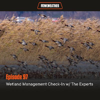 Ep. 97 – Wetland Management Check-In w/ The Experts