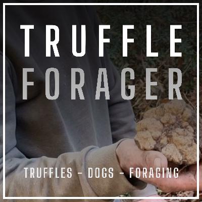 PROFESSOR PAUL THOMAS: How To Cultivate Truffles In Your Garden, Woodlice Poo Truffle Experiment With The Kids During Lockdown, The Climate Change Effect On Truffles And Truffle Dog Training Tips