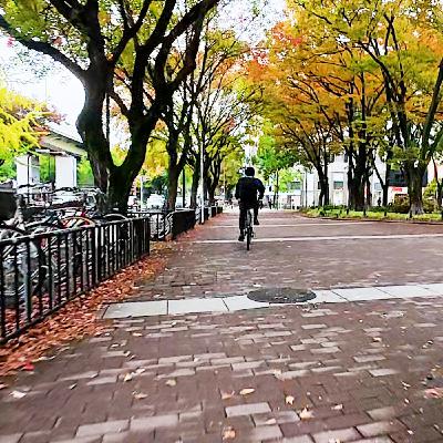 Impromptu Riff: 11/10/2025