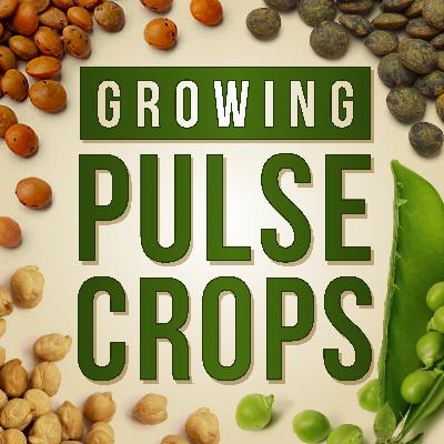 U.S. Pulse Quality Survey