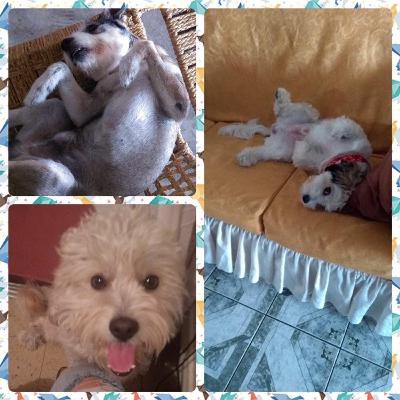 28: La historia de Valeria y sus 3 bebes
