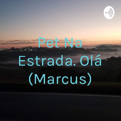 Pet na estrada