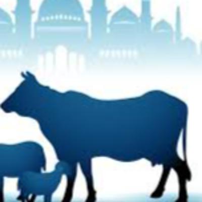 Meraih kemuliaan di bulan-bulan haram & fiqih seputar qurban - Ustadz Miftahul Ulum