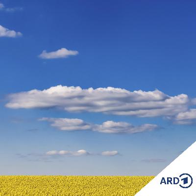 Die Wolke - Reich des Göttlichen, Transzendenten und ihr Geheimnis