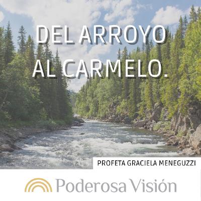 Del arroyo al carmelo.
