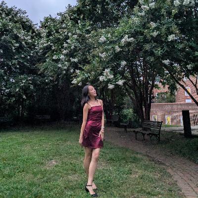 75：解救完美主义的良药：反脆弱，拥抱必然的不确定性