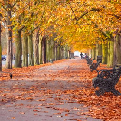 Dopoludnie na InfoVojne s Adrianom 20.11.2025 Dopoludnie na InfoVojne s Adrianom 20.11.2025