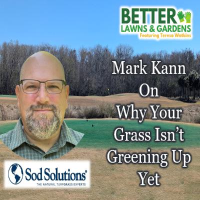 S2 Ep431: Better Lawns and Gardens - Hour 2 Why Isn't My Lawn Greening Up? February 28, 2026