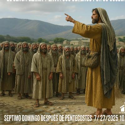 Libertad En Accion