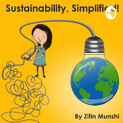 Ep. 32: Sustainable Toys with Ruchi Shaikh - Founder, Toyroom Ep. 32: Sustainable Toys with Ruchi Shaikh - Founder, Toyroom