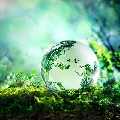 The Grapes of Wrath Grow Heavy: Why Contemporary Notions of Sustainability Are Unsustainable