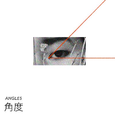 Introducing: ANGLES