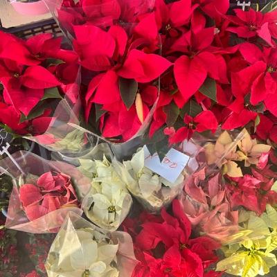 〜痛みの浄化〜それは足すことの前に減らすこと