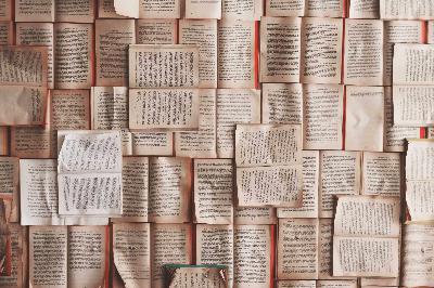 7 What new English words have you learned?