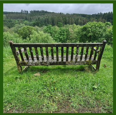 279 Lento Long - Kielder Collection (180 minutes)