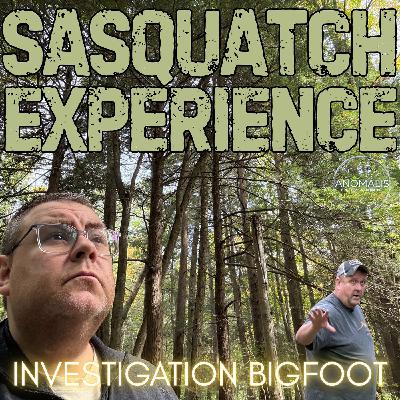 EP 133: Investigation Bigfoot