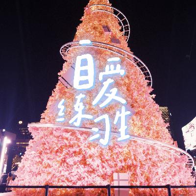 E118. 40个问题总结练习自爱的2025年|简介附文字版