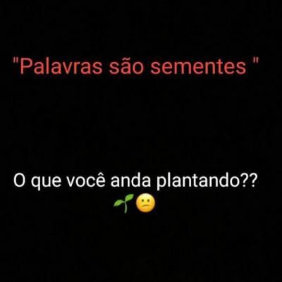 Milagre diário