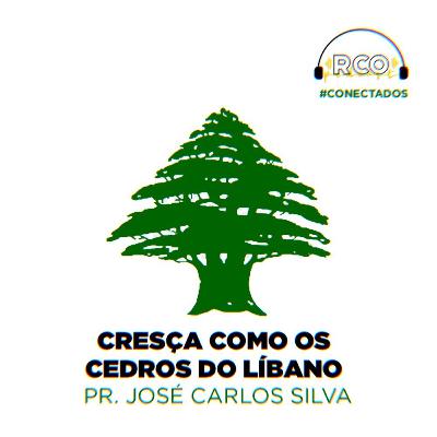 Cresça Como os Cedros do Líbano (Sl 92.12) | Pr José Carlos Silva