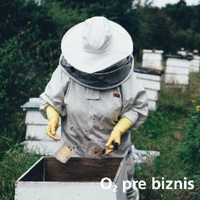 Aký význam majú roky neúspechov a prečo je správna chvíľa práve teraz, prezradil Tomáš Bátovský