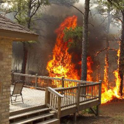 The Voters Voice - AB1 California's Wildfire Insurance Crisis The Voters Voice - AB1 California's Wildfire Insurance Crisis
