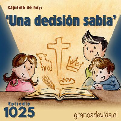 #1025 Una decisión sabia