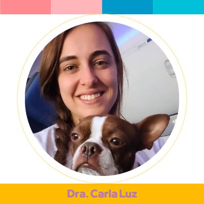 Transportar pets em avião é perigoso? Ouça dicas de uma especialista. Transportar pets em avião é perigoso? Ouça dicas de uma especialista.