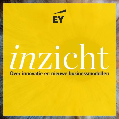 EY - ‘Eén plus één moet drie zijn’