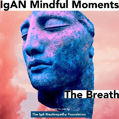 IgAN Mindful Moments - Calm and Center with Deep Belly Breaths Meditation IgAN Mindful Moments - Calm and Center with Deep Belly Breaths Meditation