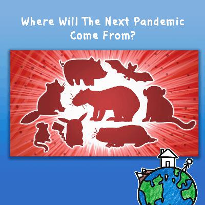 Where Will The Next Pandemic Come From?