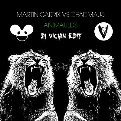 Martin Garrix - Animaulds (DJ VICJAN Edit)