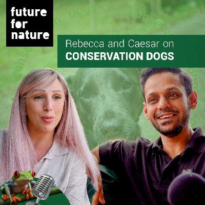 What Are Conservation Dogs and Why Are They So Important? (With Rebecca Cliffe and Caesar Rahman)