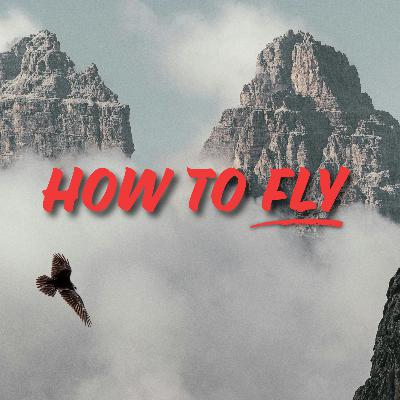 How to Fly - Audio