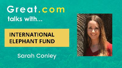 #645 Great.com Talks With... International Elephant Foundation