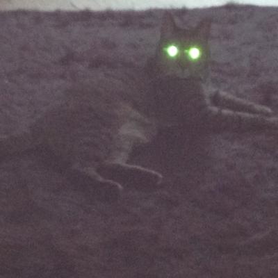 The Story of JackHat SuperCat