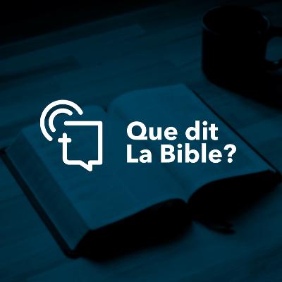 #294 - En quoi le pasteur doit-il être le modèle du troupeau ?