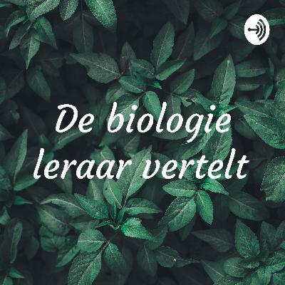 De eerste poging: de leraar biologie of de biologieleraar ?