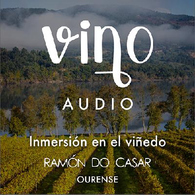 Cap 9 - Especial "paseo por nuestros viñedos"