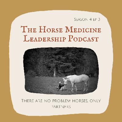 There are no problem horses, only partners.