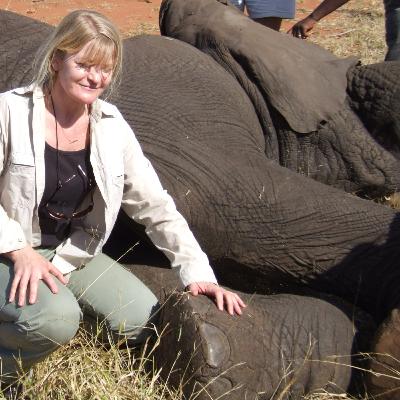 EP54: Volunteering in an African game reserve EP54: Volunteering in an African game reserve