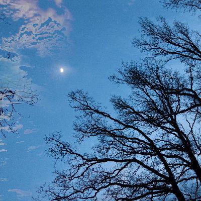 #64. Rejsen til de 6 riger #64. Rejsen til de 6 riger