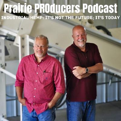 Why Hemp Fiber with Paul & Tim Seehusen, Prairie PROducers' CEO & COO Why Hemp Fiber with Paul & Tim Seehusen, Prairie PROducers' CEO & COO